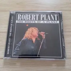 ROBERT PLANT THE ROOTS OF A PLANT