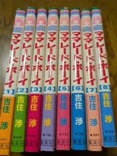 ママレード・ボーイ 全8巻セット