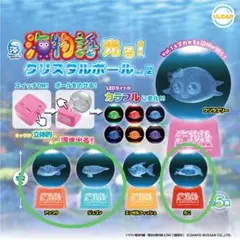 海物語 光る！クリスタルボール Vol.2 3種セット