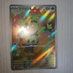 マラカッチ HP100 AR