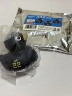 オリックスバスダック22