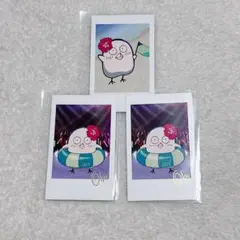 Crazy Raccoon CRフェス カード おぼ