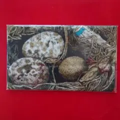 ヒグチユウコさん　ボリス雑貨店　 手ぬぐい　鳥の巣 未開封