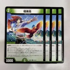 138100 極楽鳥