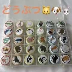 動物　生き物　イラスト　絵合わせ　ペットボトルキャップ マッチング