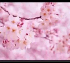 英検2級総合対策教本 改訂版