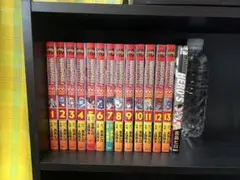 フェアリーテイル100年クエスト 1〜13巻&ヒーローズ