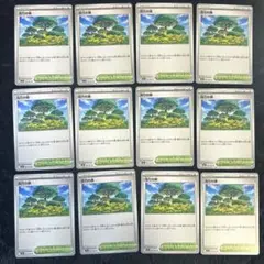 美品 活力の森 12枚 汎用カード スタジアム メガシンフォニア ポケモンカード