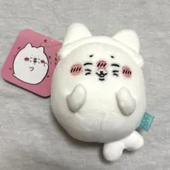 新品 ナガノ水族館 アザラシぬいぐるみくじ