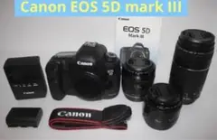 Item thumbnail for item 20efabf7-7269-4f65-ba4a-40e2b236e0be