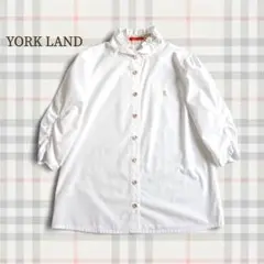 Item thumbnail for item 1d2e7cf1-987d-41ff-a89b-cab323c1c510