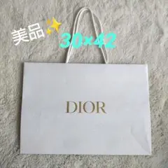 DIOR ショッパー 大サイズ