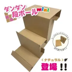 送金込 段々ダンボールmini(ナチュラル)(使用感有り)