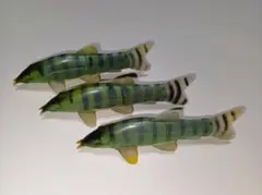 アユモドキフィギュア3体セット