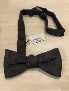 Item thumbnail for item 9630be9d-32fa-4a6e-a941-2e96b20e056f