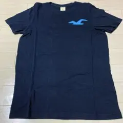 HOLLISTER 半袖Tシャツ サイズM used
