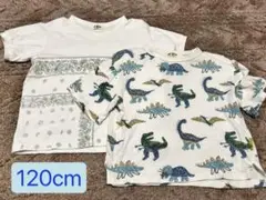 【MAKE YOUR DAY】　120cm Tシャツ