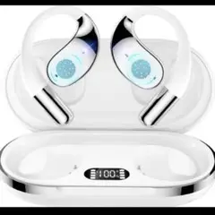 Item thumbnail for item 68c6d1e6-ce17-4f50-8c30-042da385f95a