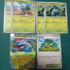 メガフシギバナex　活力の森