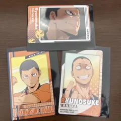 ハイキュー スナップマイド 田中龍之介 セット