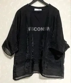 オーガンジーレイヤード5分袖プルオーバー　シアーTシャツ　フリーサイズ　ブラック