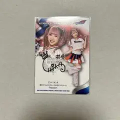 Item thumbnail for item 8f04c54b-b8b8-4206-b0ee-7b29767809d8