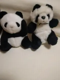 パンダ　2体セット　　ぬいぐるみ　　こ320