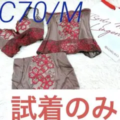 Item thumbnail for item 3b5c01fb-bb65-4651-98b8-ef46816598c9