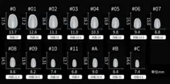 計測用ネイルチップ