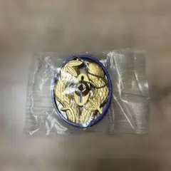 Item thumbnail for item 307a353e-e21a-4a00-84bc-dd4f084b9d63