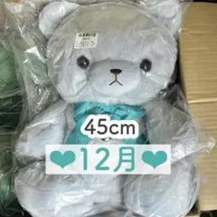 新品タグ付き 誕生月 ハッピーバースカラーベア 大きいくま ぬいぐるみ【12月】