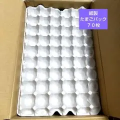 紙製 たまごパック ７０枚