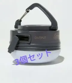 別注 COLEMAN コールマン HNGNG E-LT/ハンギングE-ライト