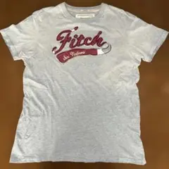 Abercrombie & Fitch グレー Tシャツ Ｌ