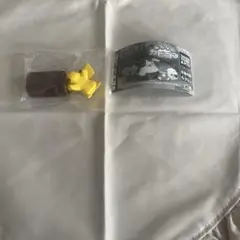 ポケモン みんなのカビゴン ピカチュウ
