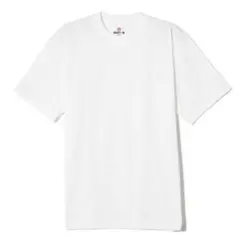 Hanes ヘインズ　BEEY-Y Tシャツ