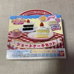 新品・未開封◯こなぷん　ショートケーキセット◯