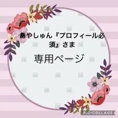 専用　ジェラトーニ　ステラルーコスチューム