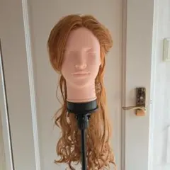 魔法にかけられてジゼル風ウィッグ【1日〜2日発送】