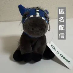 JRA 佐々木蔵之介 アイドルホース ウェルカムチャンスA賞