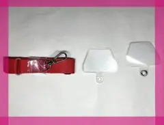 Item thumbnail for item 207ece30-cb22-4144-88cb-a59bf6dd7eaf