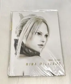 PS2デス・バイ・ディグリーズニーナ・ウイリアムズ特典冊子未開封品希少