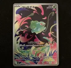 ⭐️【8/31まで】ほしポケモンカード　フシギダネ　ar
