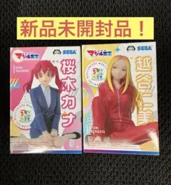 株式会社マジルミエ ちょこのせ 桜木カナ 越谷仁美 フィギュア 2点セット