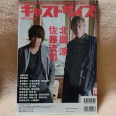 キャストサイズ 特別号2017 March 佐藤流司 荒牧慶彦 北園涼 DVD