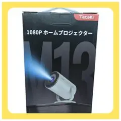 Item thumbnail for item a2059ab3-967d-471b-868a-ce239ffa8c67