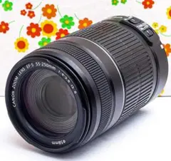 Item thumbnail for item 8088bd22-7e7d-44d9-874d-a314e4554970