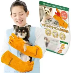 フクロウ✴︎鷹✴︎ハヤブサ✴︎鷲　猛禽類ファルコングローブS フクロウ✴︎鷹✴︎ハヤブサ✴︎鷲 猛禽類ファルコングローブS