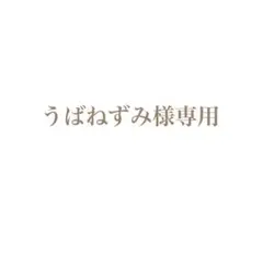 うばねずみ様専用 席札C 角丸 納期2/5