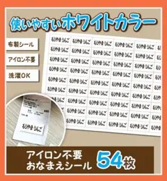 Item thumbnail for item 32e997ac-cd2a-495c-9296-81668f0ac8e2